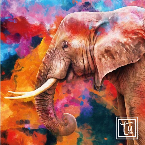 ELEFANTE COLOR